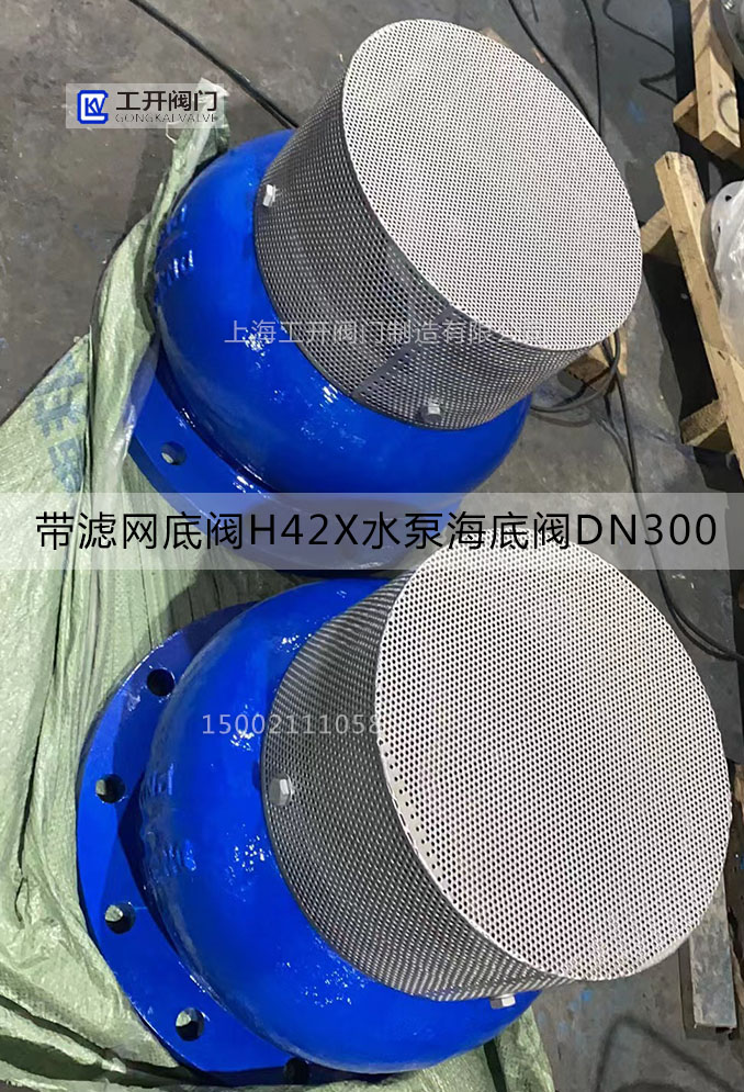 帶濾網底閥H42X-16Q-DN300