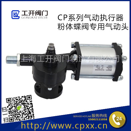 CP系列氣動執行器-氣動粉塵/粉體蝶閥專用氣動頭-CP系列氣缸-CP063/C
