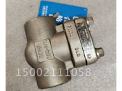 高壓內螺紋止回閥H14R-800LB-F316L